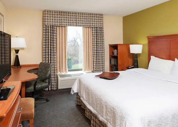 Best Hotels Near Metropolitan Park Jacksonville FL