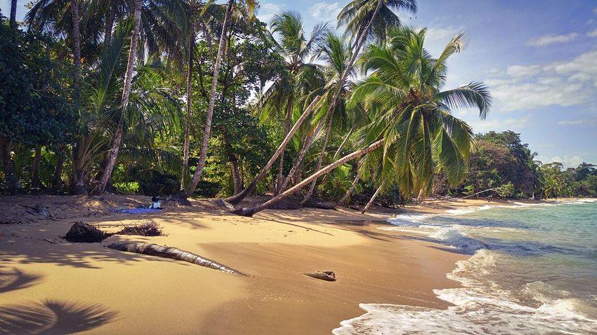 Punta Uva è un luogo perfetto per fare snorkelling e surf © iStock/ Getty Images Plus